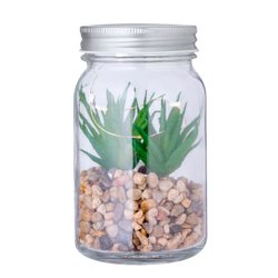 Planta Decorativa Kyala