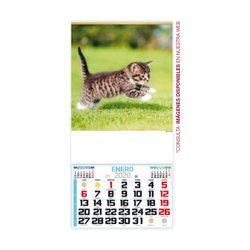 Calendario De Pared Mensual Lámas De Serie