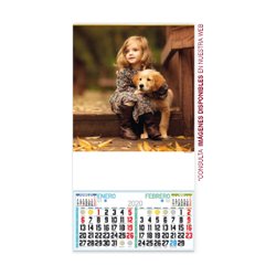 Calendario De Pared Bimensual Laminas De Serie